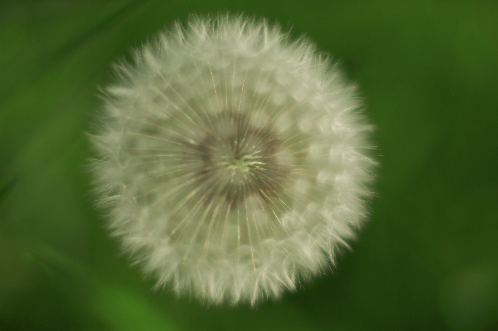 20DU6836   Arbeitskopie 2